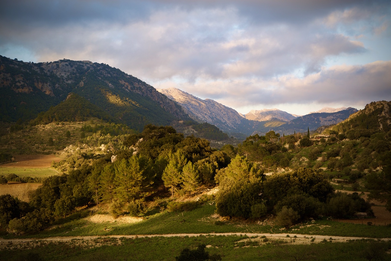 Una villa de lujo con todas las comodidades del hotel