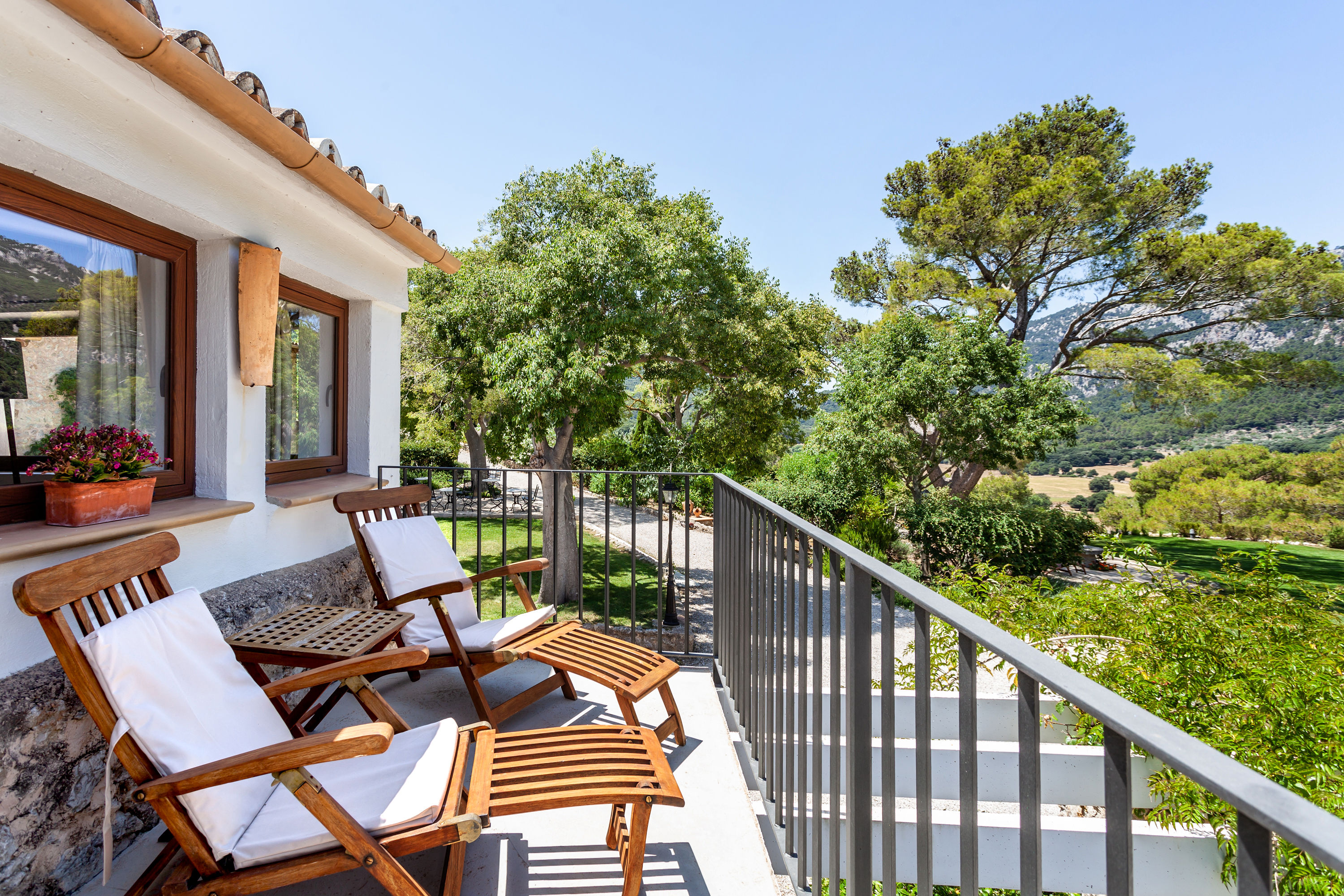 Superior with terrace