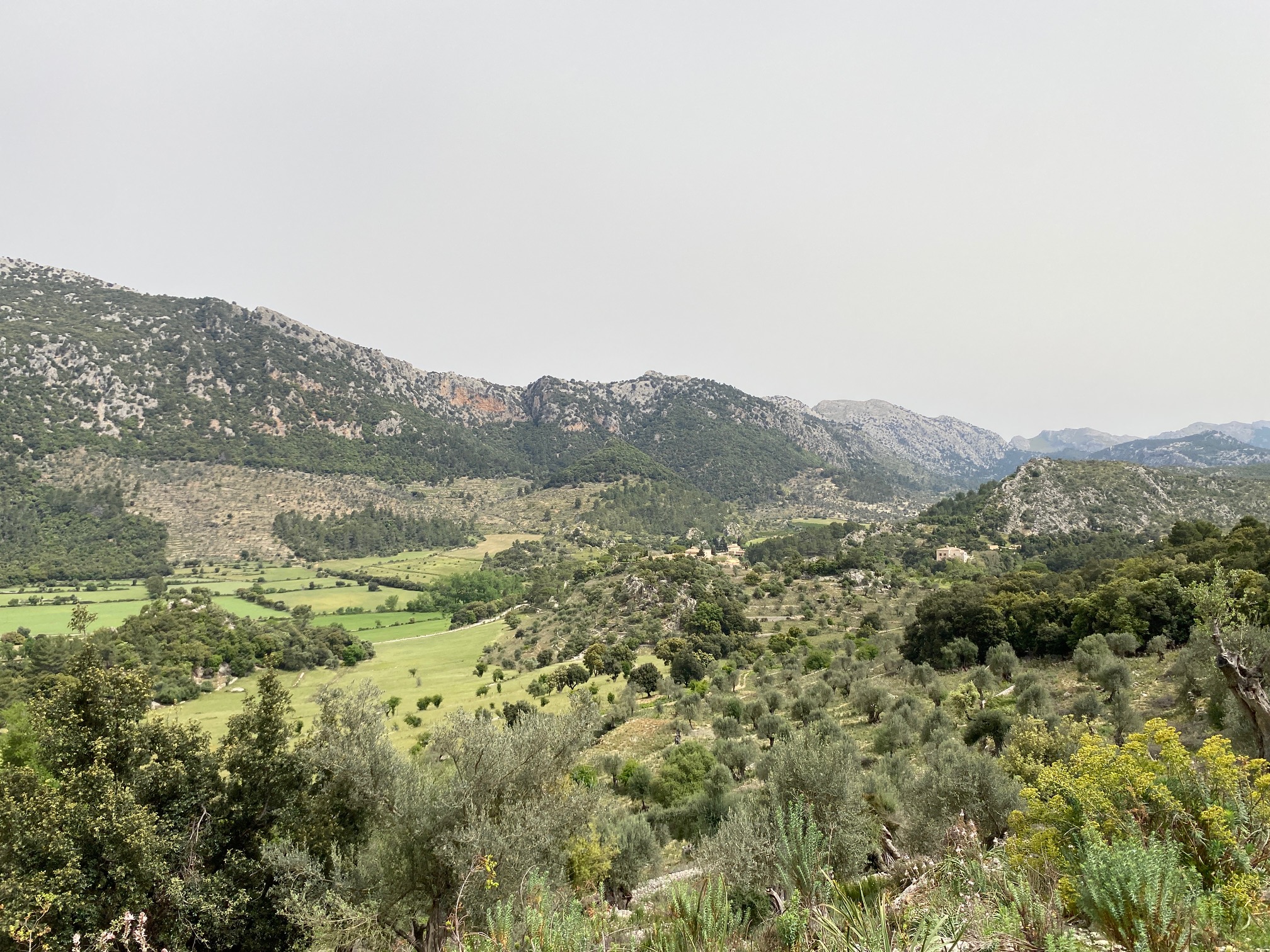 Walk to  the Son Palou´s  viewpoint